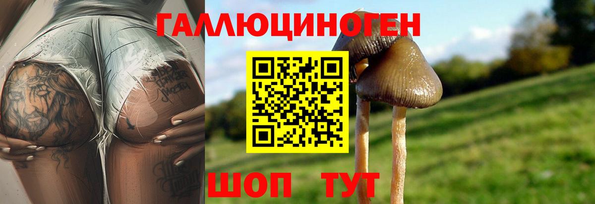 Псилоцибиновые грибы MAGIC MUSHROOMS  Вход с VPN  Тавда 